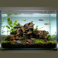 Aquarium Driftwood Shrimp Wood Natural Trunk & Assorted Branches 1.9-3.9" (5-10cm) Terrarium Ornament for Fish, Shrimp &