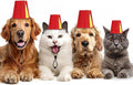 4 Pcs Fez Hat for Pet Red Turkish Style Hat with Golden Tassel