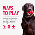 KONG Ring, Natural Rubber Chew Toy for Dental Health, for Small/Medium Dogs