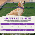 Choke Collar for Dogs,Chain Martingale Dog Training Pulling Collar(Skull L)