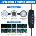 AQUANEAT Clip on Aquarium Light for up to 5 Gal Rimless Fish Tank, Dimmable Small Fish Tank Light USB for Nano Tank
