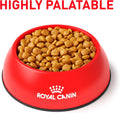 ROYAL CANIN Veterinary Diet Canine Urinary SO Aging 7+ Adult Dry Dog Food, 6 lb Bag