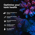 Brightwell Aquatics NēoNitro Nitrate Supplement for Reef Aquariums, 500 ml