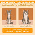 Doctor By Cat Colostrum Protein Cat Supplement Immune Support Muscle Growth, Gentle on Digestion for Kittens, Adult&Senior Cats with Goat Milk, Whey Protein Isolate, Colostrum Lickable Formula