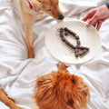 Wild Alaskan Salmon Krill Oil Chews for Dogs - 120 Soft Treats - Omega 3 6 9 Fish Supplement EPA, DHA for Itch-Free Skin