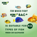 KOIKA BAC+ Aquarium Probiotics for Fish & Shrimp – High-Density Beneficial Bacteria, Pleasant Smell, Supports Disease Re