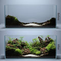 emours Natural Driftwood Small Aquarium Driftwood, 4-6", Natural Twisted Branches, Low-Tannin, Great for Shrimp/Betta & 