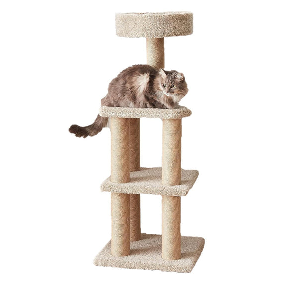 Amazon Basics Cat Tree Tower - Multi-Level Climbing Activity Center for Indoor Cats & Kittens with Scratching Posts, Platform, Jute Rope, Large (45.9