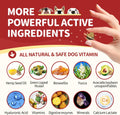 NATURE TARGET Glucosamine for Dogs, 120 Soft Chews, Chicken Flavor