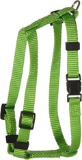 X-Small/Lime Zest