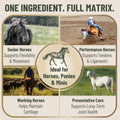 Eggshell Membrane Collagen for Horses - Joint Support 5.5 oz