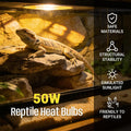 CALPALMY 4-Pack 50W UVA+UVB Bulbs | Heat and Light for Reptiles and Amphibian Tanks, Terrariums and Cages | Works with V