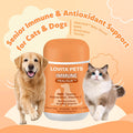 LOVITA Pets Senior Wellness Capsules for Dogs & Cats, with NMN, Resveratrol, Taurine, and PRALISUR Beta-Glucan, Daily Nutritional Support for Aging Pets, 60 Capsules
