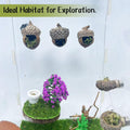 Jumping Spider Hide & Hideaway Made from Real Acorns | Handmade Magnetic Spider Cave, Ideal Habitat Accessory for Small 