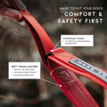 MADE TO ROAM Premium Everyday Dog Collar - Martingale Style No Pull Vegan Leather Collar, Heavy Duty and Lightweight for