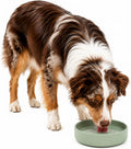 Should We Go? Dog Water Bowl - The Perfect Dish No-Spill, Less Mess Non-Tippable Water & Food Bowl, Pure Silicone with Suction Cup Fits 5 Cups 7.5" Across x 2.25" Tall, Ideal for All Pets, Medium-Sage