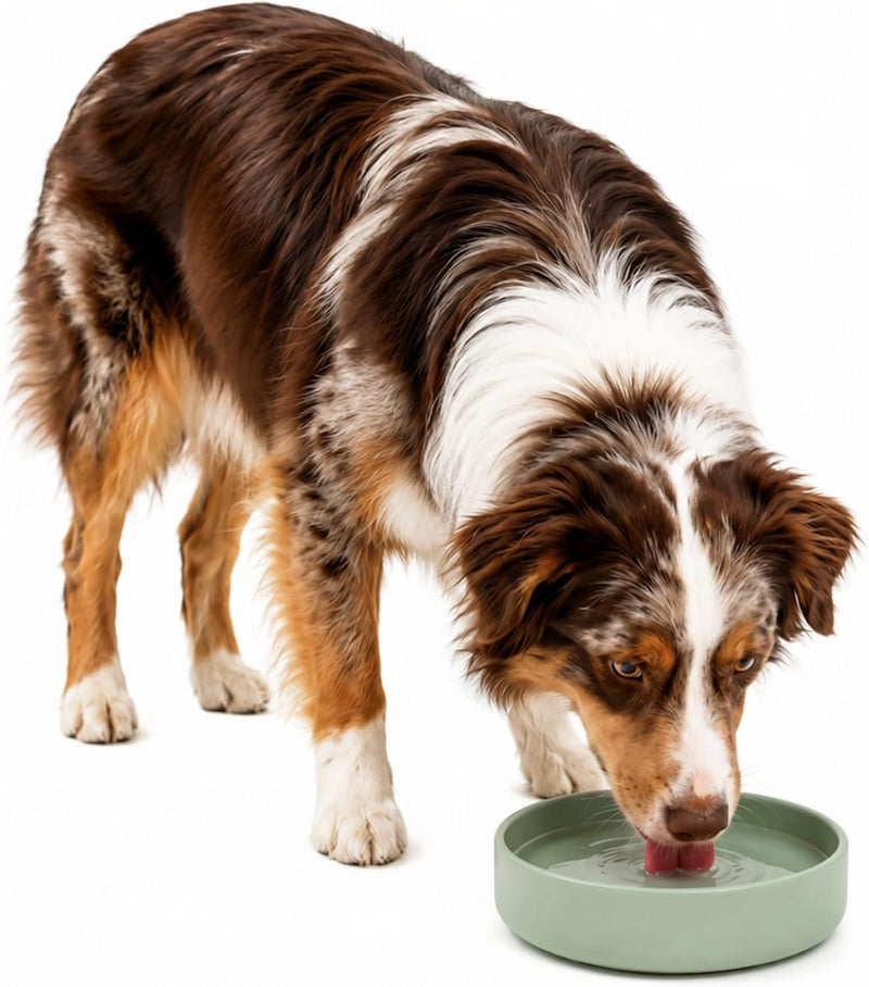 Should We Go? Dog Water Bowl - The Perfect Dish No-Spill, Less Mess Non-Tippable Water & Food Bowl, Pure Silicone with Suction Cup Fits 5 Cups 7.5