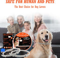 Flea Collar for Dogs, 2 Pack Collar for Dogs, 12 Months Protection, Waterproof, Adjustable One Size Fits All