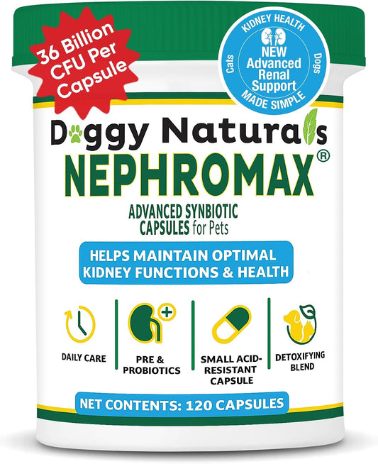 NEPHROMAX™ Synbiotic Capsules for Kidney Support for Dogs & Cats - 36 Billion CFU-Advanced Next-Generation Enteric detoxifying Blend of Pre & Probiotics Kidney Support U.S.A (120 Small Capsules)