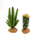 Reptile Plants Succulent, Artificial Desert Rain Forests Plants, Set 2