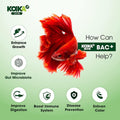 KOIKA BAC+ Aquarium Probiotics for Fish & Shrimp – High-Density Beneficial Bacteria, Pleasant Smell, Supports Disease Re