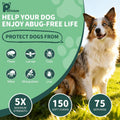 Flea and Tick Prevention for Dogs, Natural Dogs Flea and Tick Treatment Chewable, Oral Pets Flea Support Supplement - Fl