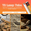 T8 UVB Reptile Light 15W 10.0-2 Pack,UVA UVB Light Bulb for Reptiles,Reptile UVB Lamp Tube for Bearded Dragon