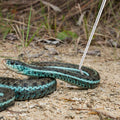 Collapsible Snake Hook Stainless Steel Extensible Snake Catcher Capture Hook for Catching Handling Grabber Separate Smal