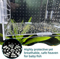 Fish Breeding Box, Acrylic Fish Isolation Box Separator for Shrimp Clownfish - 5.9 * 5.9 * 5.9 inches