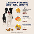 DM‑01 Daily Multivitamin for Dogs,12‑in‑1 Soft Chews,Beef Flavor,60 Count