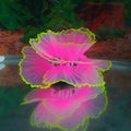 Besimple Aquarium Coral Ornament Glowing Effect Coral Decor Resin Fish Tank Plants Decoration for Aquarium Tank Landscap