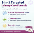 Natural UTI Treatment for Cats & Dogs – Antibiotic-Free Urinary Tract Infection Support Supplement – Bladder & Kidney Health – Incontinence Prevention – 30 Caps