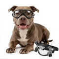 PETLESO Dog Goggles for Large Breeds, UV Protection Dog Sunglasses with Adjustable Straps, Windproof Pet Eyewear for Medium to Large Pets, Soft Frame, Breathable, Clear L