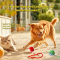 Interactive Dog Cat Toy Ball, Automatic Moving Bouncing Rolling, with Replacement Tail, Pet Smart Chase Ball Rechargeabl