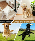 Morn Light 2 Pack Dog & Cat Bells with Engraved Pattern, Extra Loud Brass Bell for Collar with Quick Clasp, Anti-Lost Tracking,Gift Ready Set for Small to Medium Pets Lovers(Silver+Copper,S+M)
