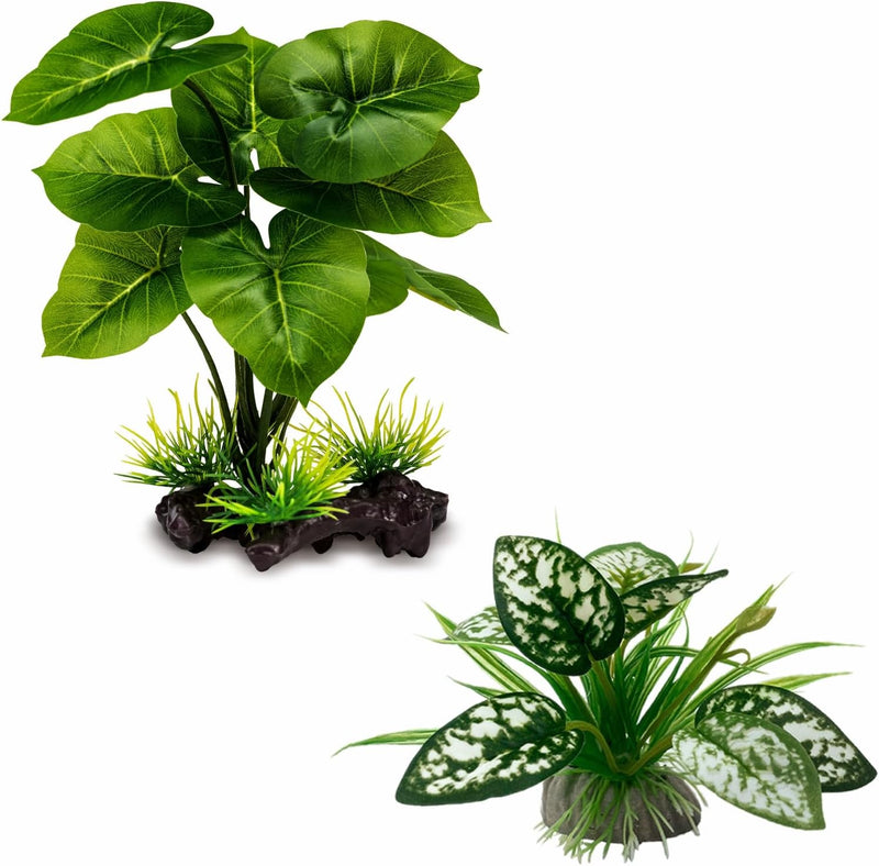 Moonorange Reptile Artificial Plants, Terrarium Plants Decorations Supplies, Aquarium Fish Tank Plant, Amphibian Habitat