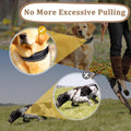 Mayerzon Martingale No Pull Dog Collar, Reflective Walking Collar for Large