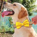 PET SHOW Large Dogs Collar Attachment Bow Ties Embellishment Girls Boys Medium Dog Puppies Cats Collar Charms Accessories Bulk Slides Bowties for Birthday Wedding Parties