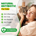 Antibiotics for Cats, Natural Antibiotics for Cats, Cat Antibiotics for Infection Supports Immune & Cats Allergy Relief,