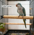 20-Pack Sanded Perch Covers for Parakeets - Bird Perchs Covers 7.5" L x 3/8" D Bird perches for Parakeets, Lovebirds, Parrotlets, Canaries and Other Small Birds (20pcs Small 7.5" L x 3/8" D)