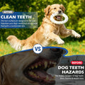 2 Pack Dog Ring Toys for Outdoor Play, Durable Soft Flying Disc for Throwing Catching Grabbing, Water Floating Dog Frisb