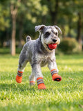 Haloumoning Dog Shoes Mesh Breathable Non-Slip Boots & Paw Protectors