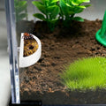 5pcs Jumping Spider Feeding Dish Kit, Jumping Spider Food Feeder Water Bowl