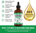 Vitamin E for Dogs Liquid 250 IU - Vitamin E Oil for Dogs Skin and Coat Support - Dog Immune Support Antioxidant Supplem