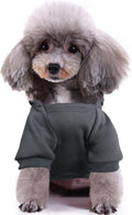 Print Dog Hoodies for Small Dogs, Pullover Sweatshirt, Cute Puppy Costume