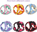 Cat Harness and Leash Set for Walking – Escape-Proof Reflective Vest for Cats and Small Dogs, Adjustable Soft Air Mesh w