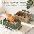6 Pack Cat Scratch Pad with Nested Boxes, Space-Saving Cat Scratcher Set