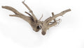 LANDEN Spider Wood Natural Aquarium Decor Branches 4pcs 12-16in Decoration
