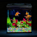 Oubest Glow in The Dark Pebbles/Glow Stones/Glowing Rocks Blue Decor for Garden/Fish Tank/Aquarium/Walkway/Driveway/Plan