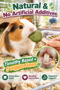 C-LIGHT Guinea Pig Chew Toys, Rotating Spinner + 8 Pcs Timothy, 5 Veggies